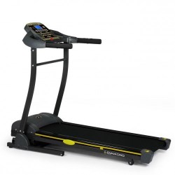  дорожка Diamond Fitness Audio 2.6